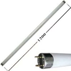 Лампа Philips люмінісцентна 36W/33 нейтрально-біла 4000К 26мм L=1200мм G13